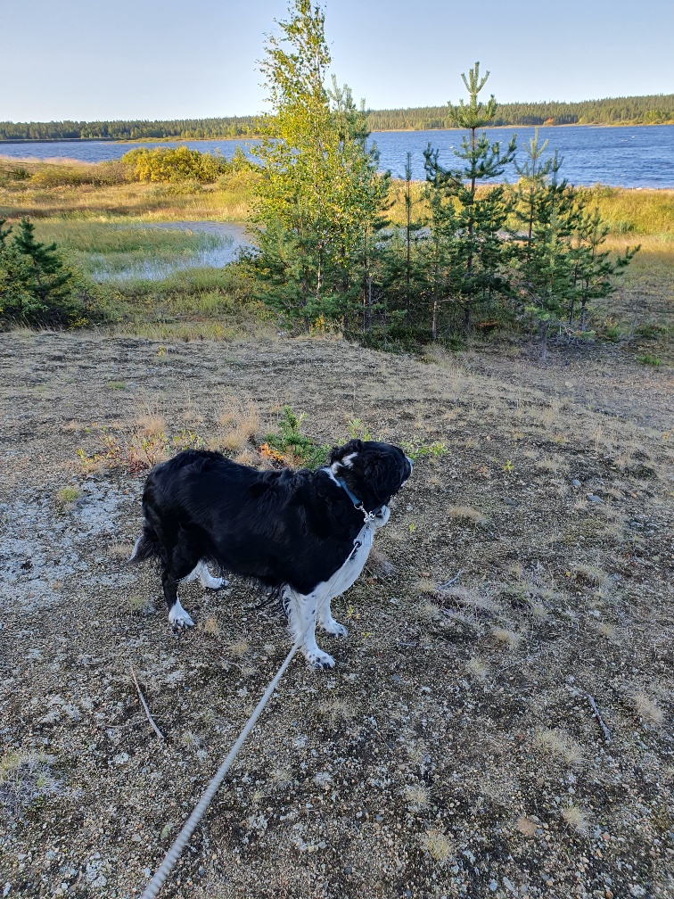 Tarjouspyyntöjen aika on nyt